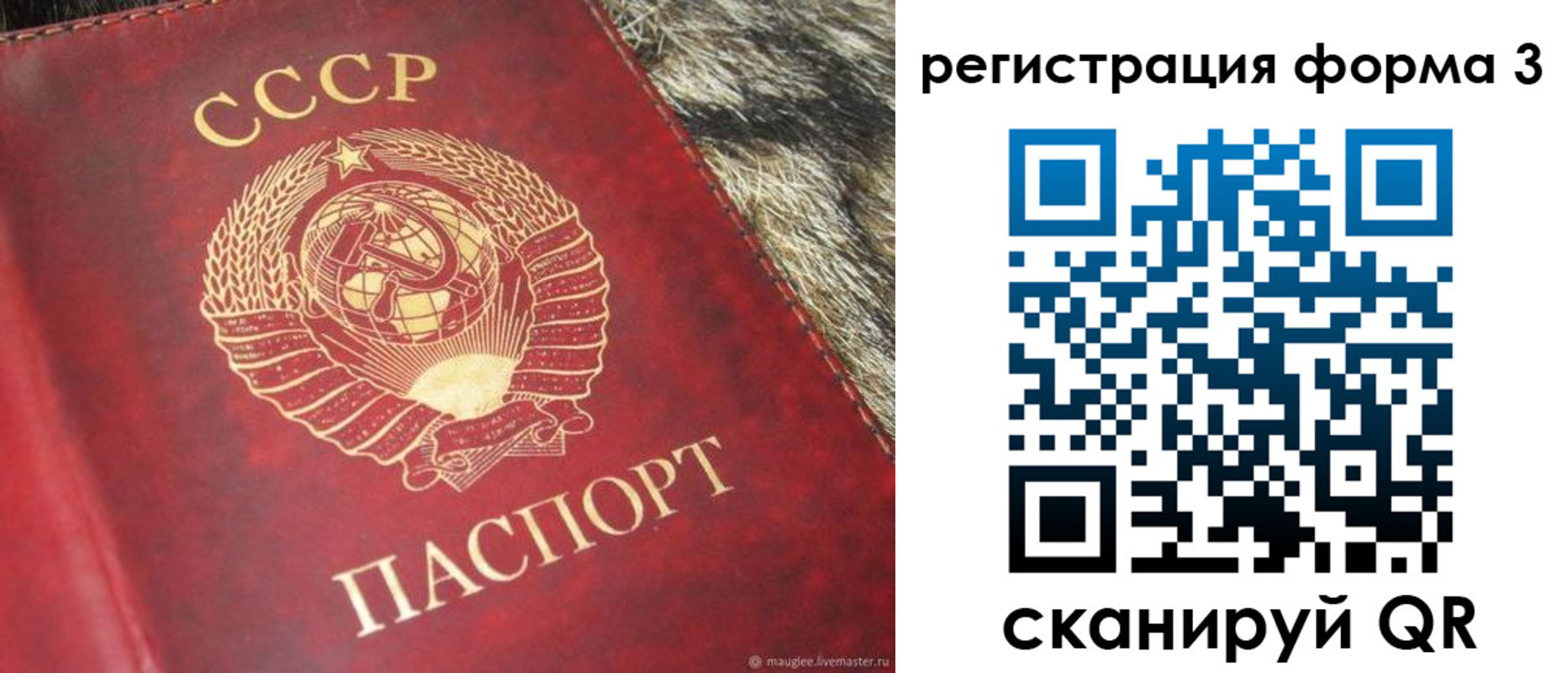 прописка регистрация в Суворове